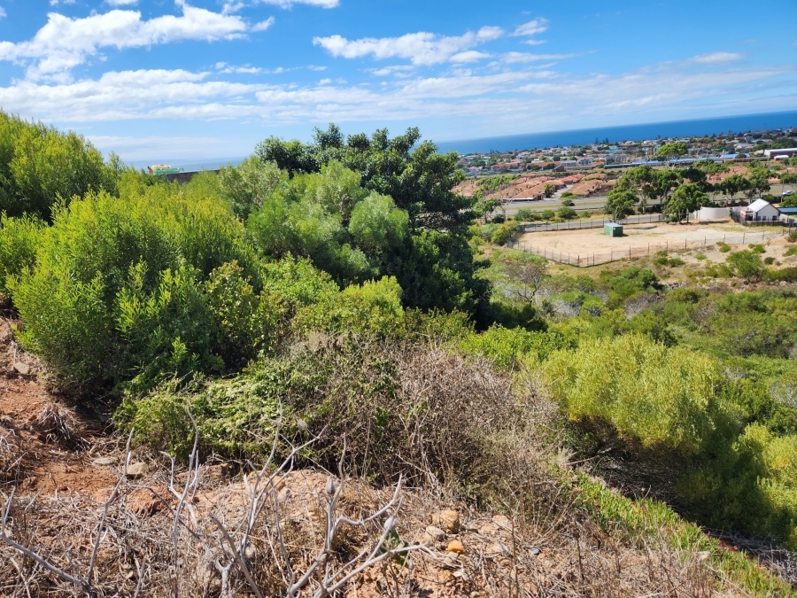 0 Bedroom Property for Sale in Menkenkop Western Cape